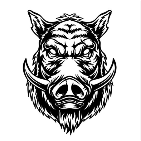 Dzik 3D – obraz ścienny | qdote3D